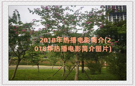 2018年热播电影简介(2018年热播电影简介图片)