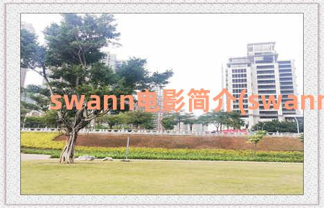 swann电影简介(swann电影大概)