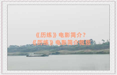 《历练》电影简介？《历练》电影简介概括