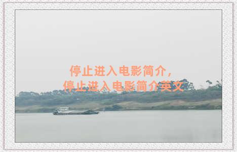 停止进入电影简介，停止进入电影简介英文