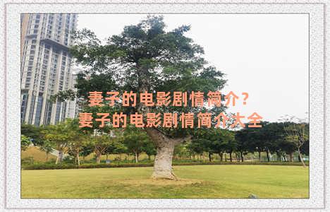 妻子的电影剧情简介？妻子的电影剧情简介大全