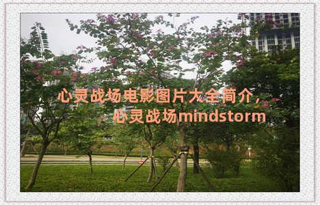 心灵战场电影图片大全简介，心灵战场mindstorm