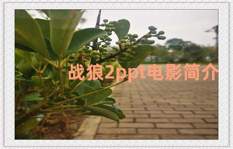 战狼2ppt电影简介