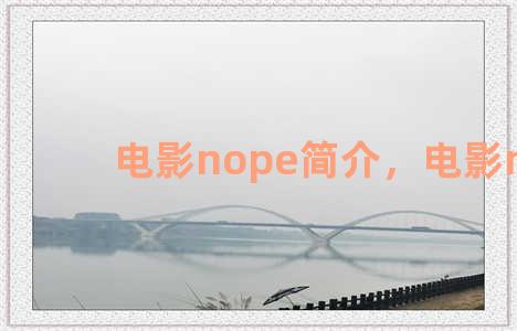 电影nope简介，电影noir