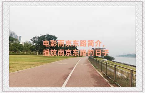 电影南京东路简介，播放南京东路的日子