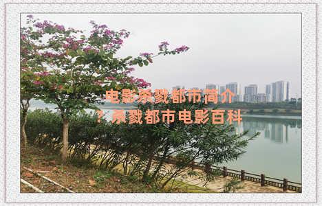 电影杀戮都市简介？杀戮都市电影百科