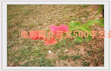 电影简介范文500字怎么写