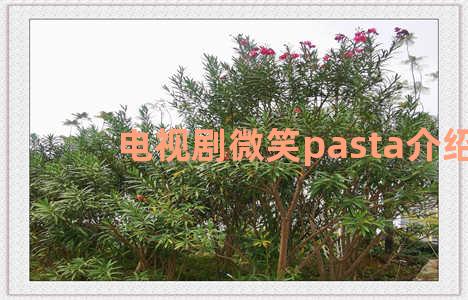 电视剧微笑pasta介绍