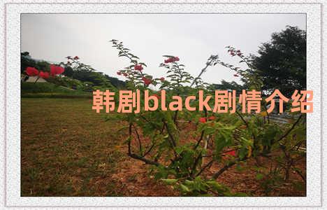 韩剧black剧情介绍