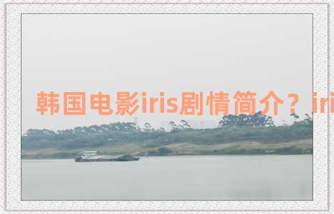 韩国电影iris剧情简介？iris主演