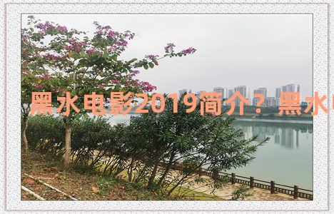 黑水电影2019简介？黑水电影百科